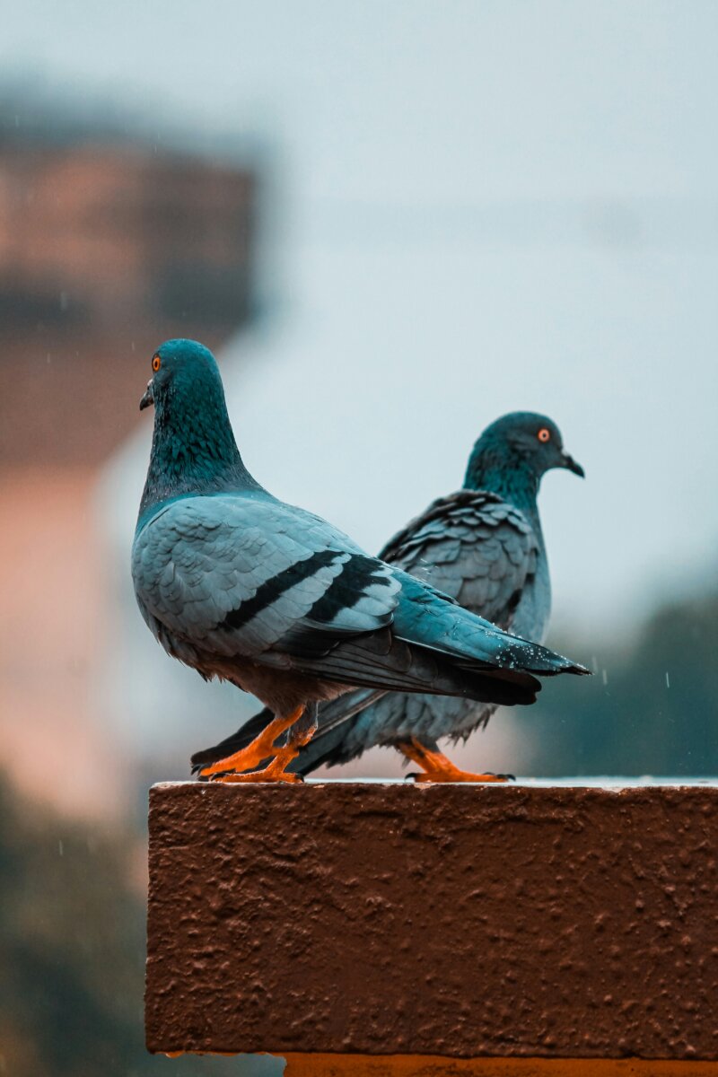 post